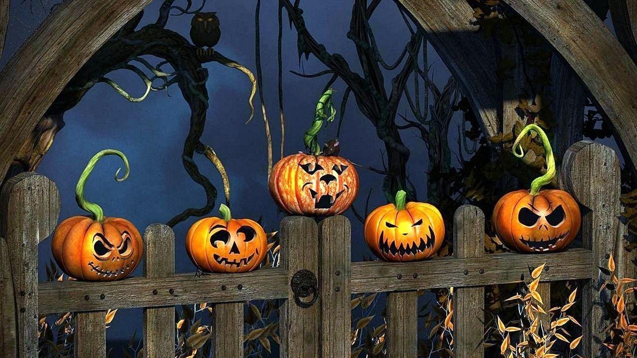 Zucche jack-o'-lantern su recinto, 1280x720 720p, Laptop