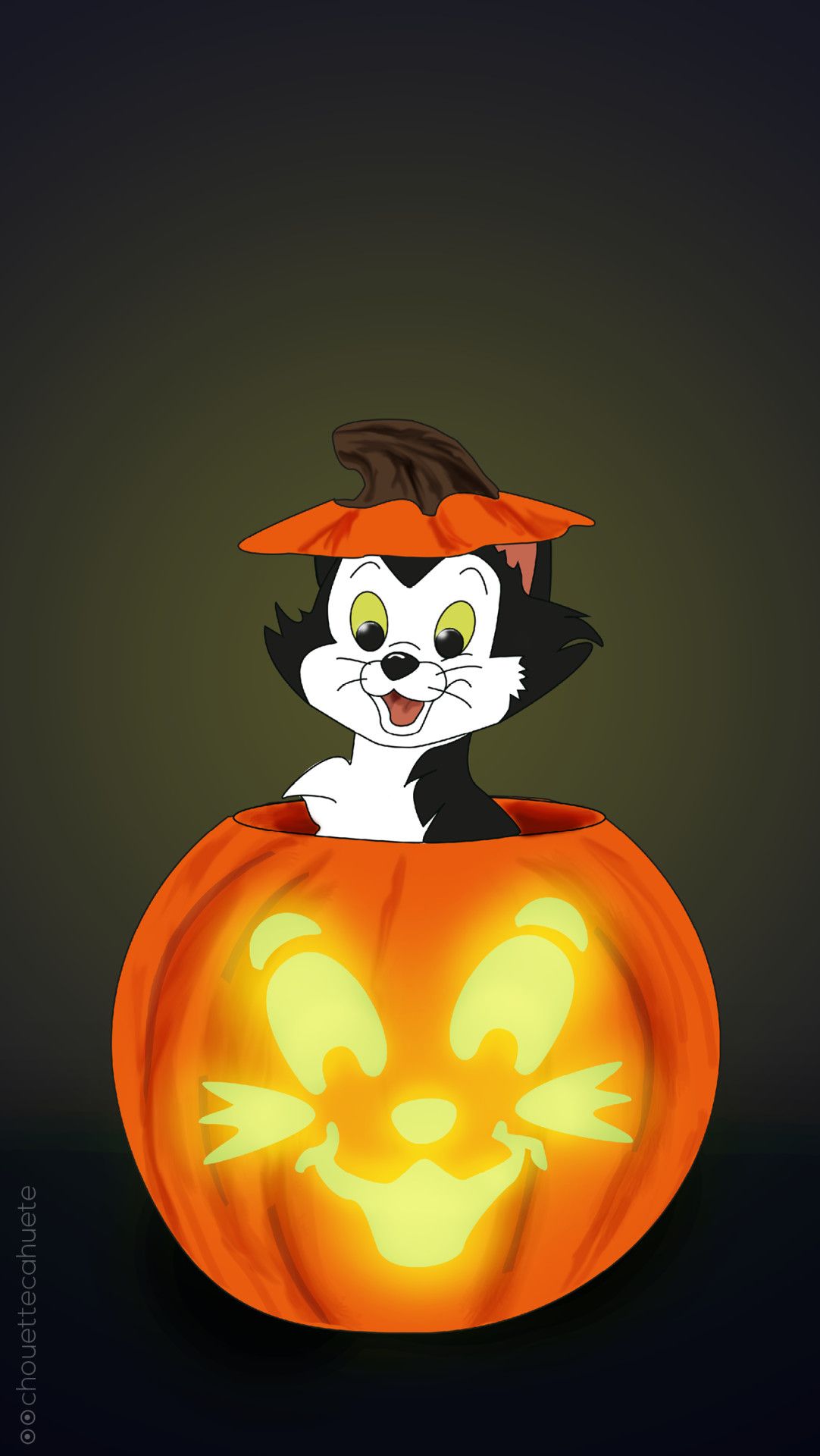 Gattino Figaro dentro zucca, 1082x1920 Full HD Verticale, Smartphone