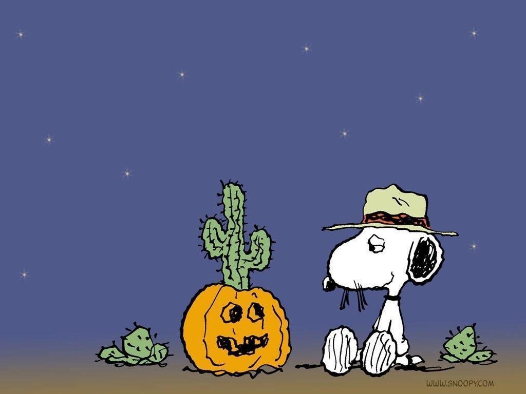 Snoopy zucca cactus Halloween, 1024x768 HD, Desktop