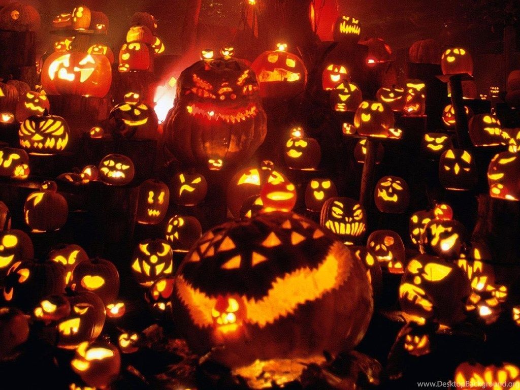 Zucche di Halloween illuminate, sfondi 1024x768 HD, PC