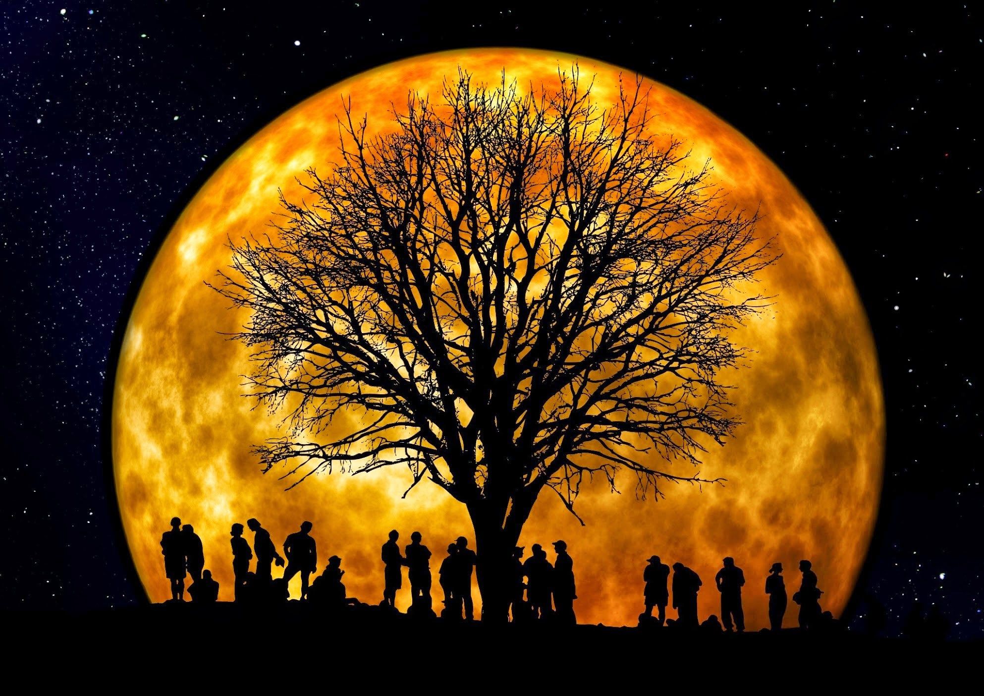 Albero e figure silhouette luna, sfondi Halloween, 1986x1404 WUXGA, Laptop