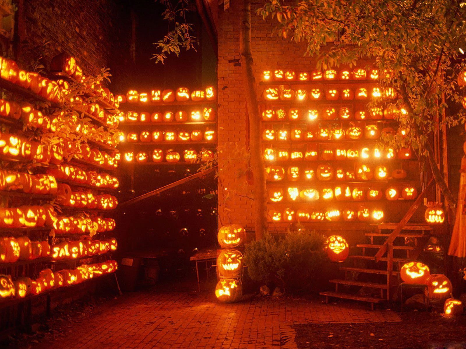 Zucche di Halloween illuminate, sfondo 1600x1200 HD, Desktop