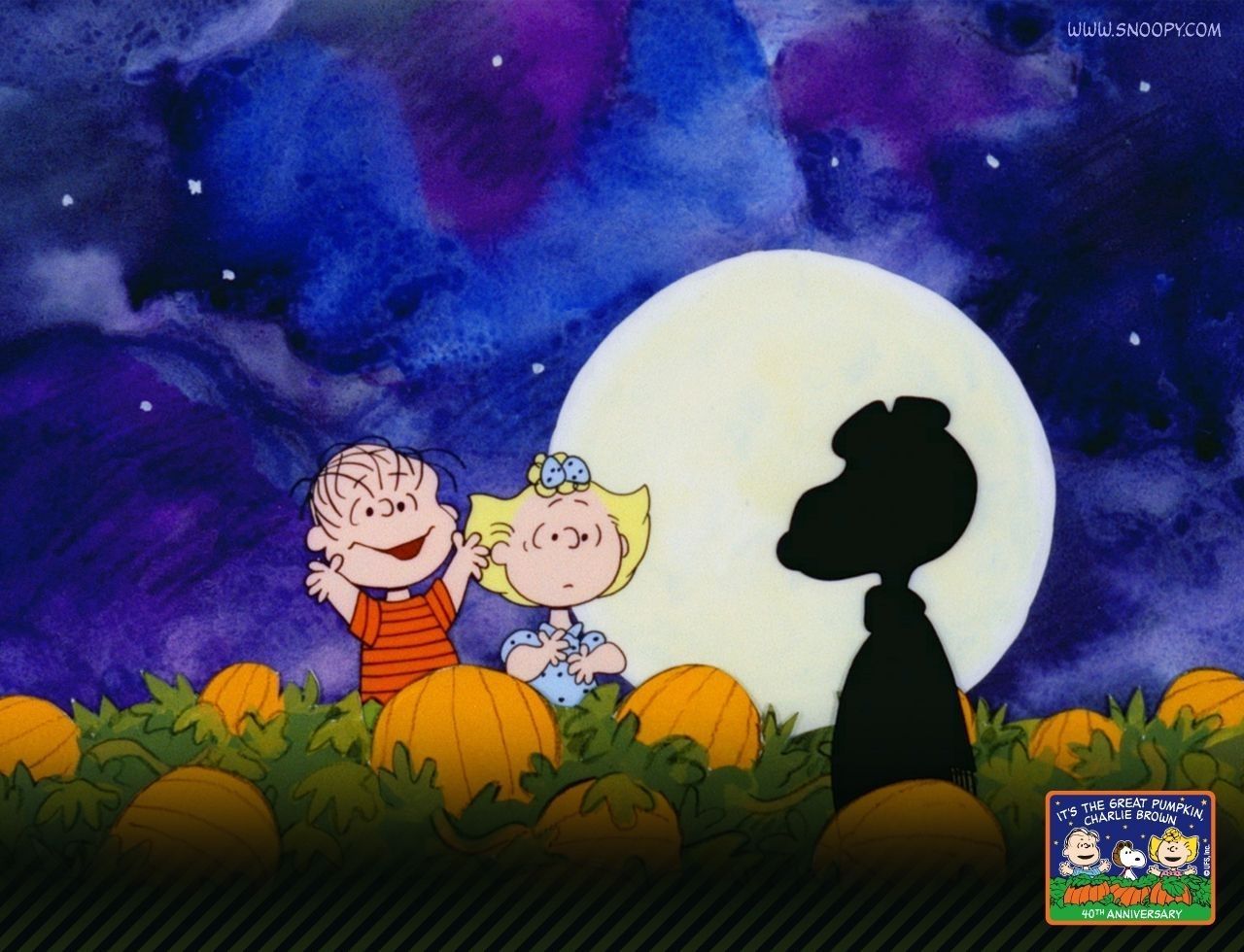 Peanuts Halloween zucca campo, sfondo 1280x980 720p, Laptop