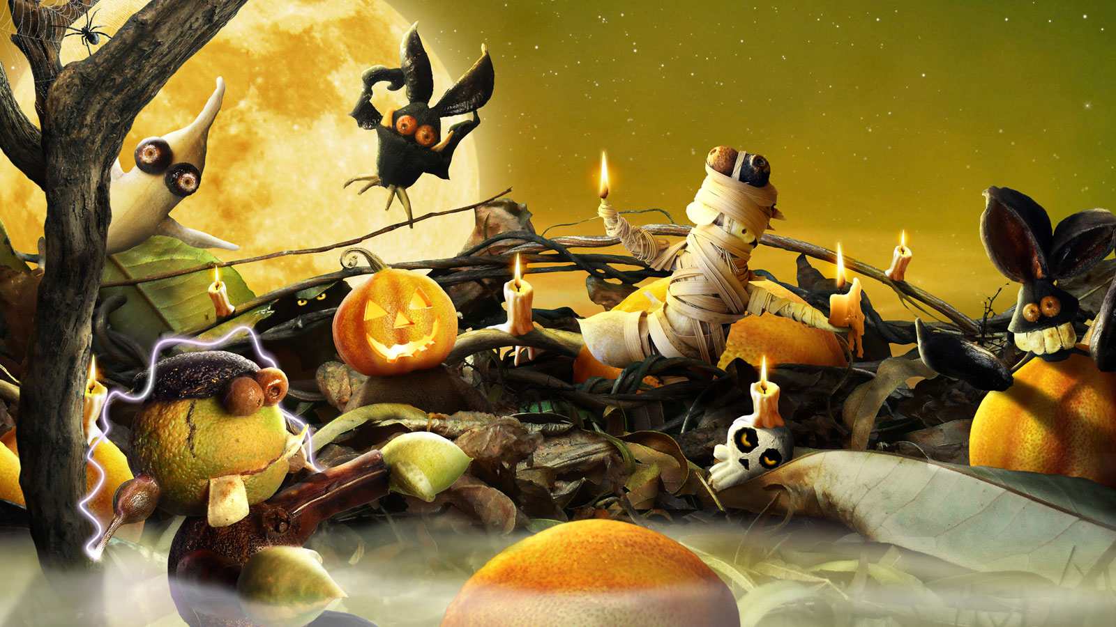 Zucche Halloween scena notturna, sfondi 1600x900 HD, PC Desktop