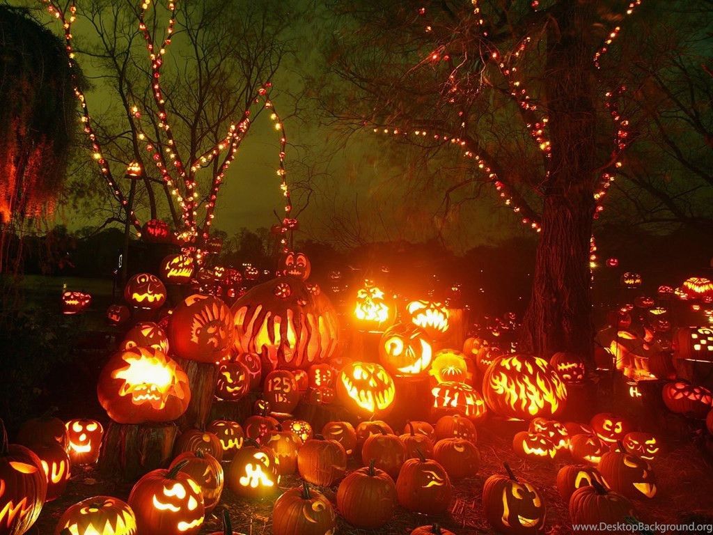Zucche di Halloween illuminate, 1024x768 HD, Desktop