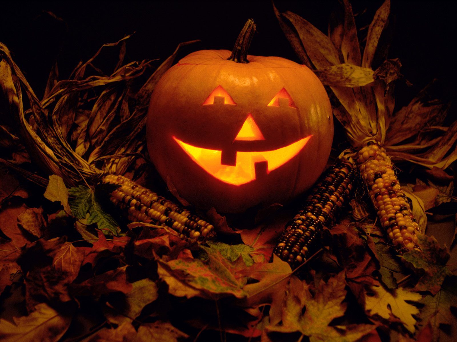 Zucca di Halloween illuminata, sfondo 1600x1200 HD Ready, Acer Nitro