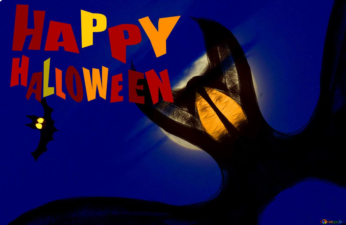 Pipistrello con luna piena, sfondi Halloween, 1200x782 HD, PC