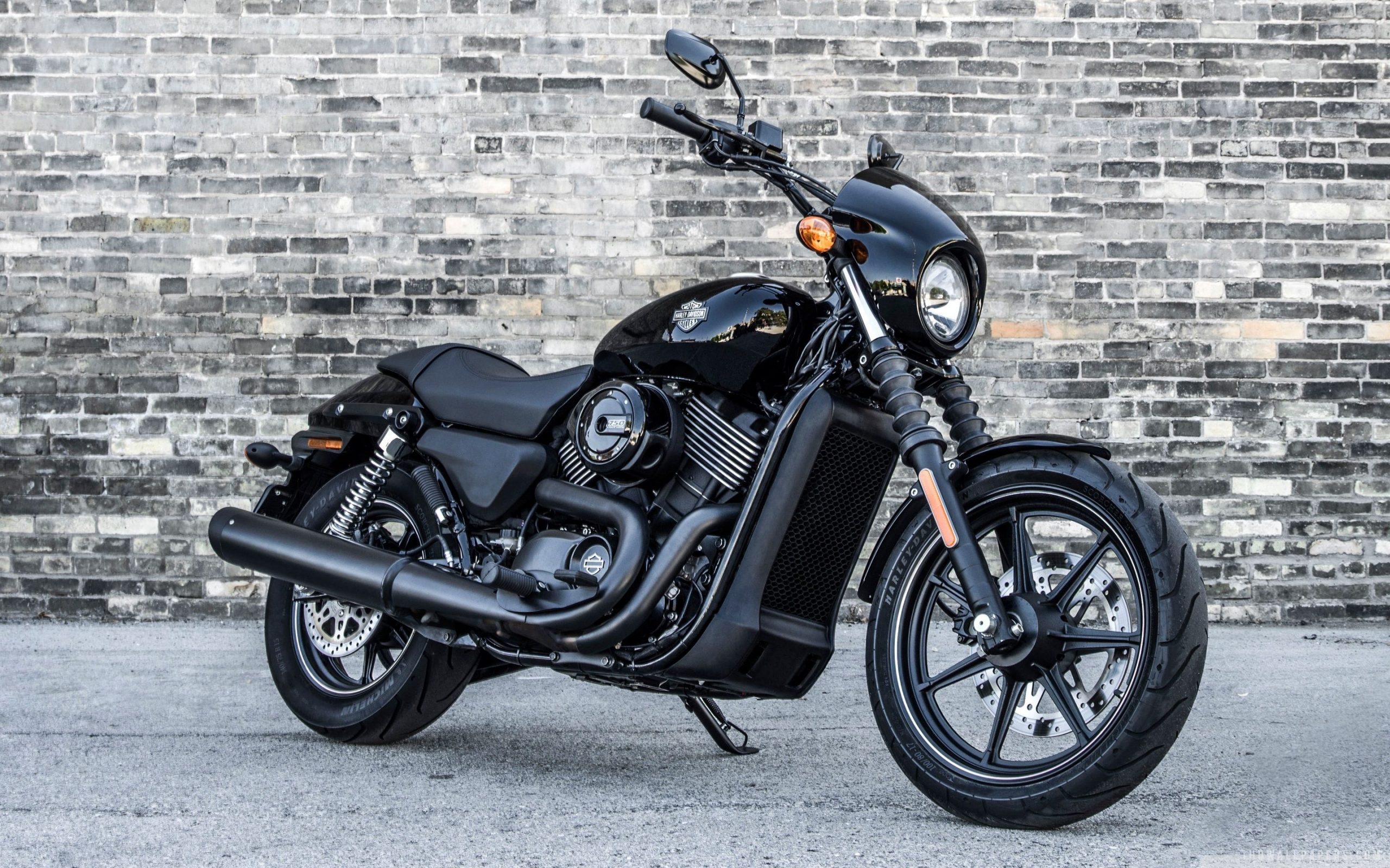 Harley Davidson Street 750 nera, 2560x1600 WQXGA, Desktop