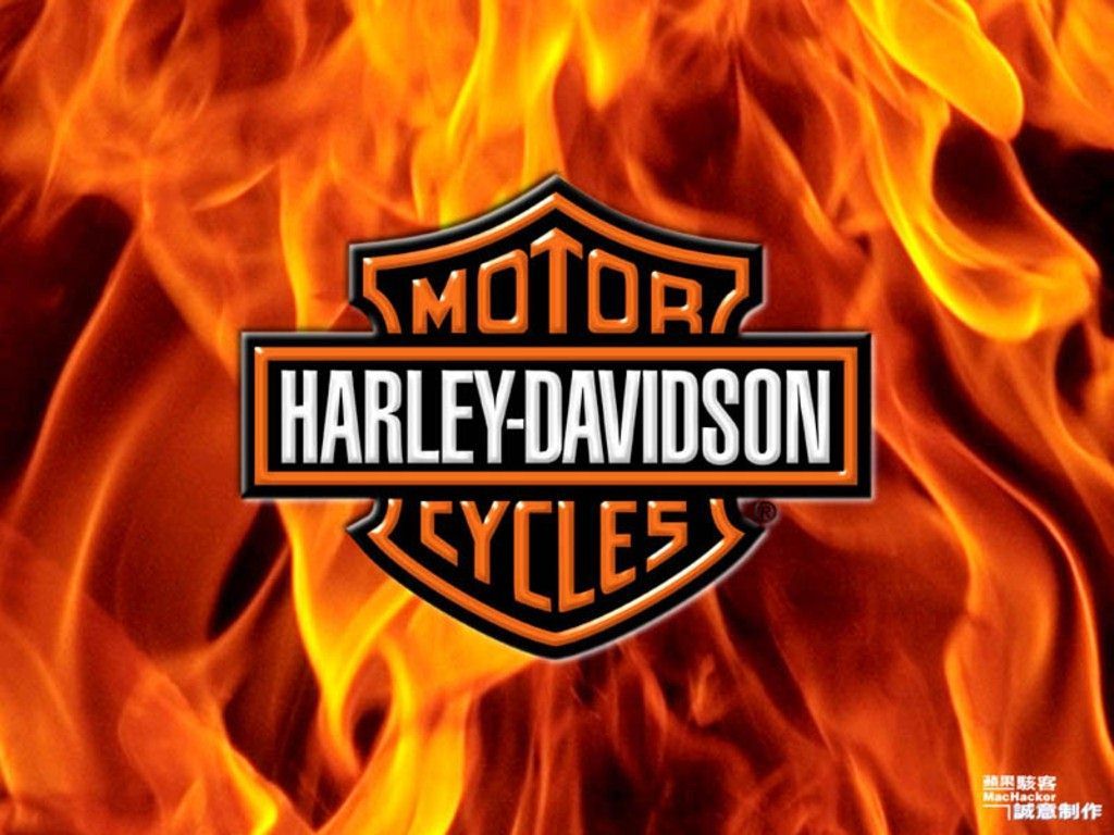 Logo Harley Davidson su fiamme, 1024x768 HD, Desktop