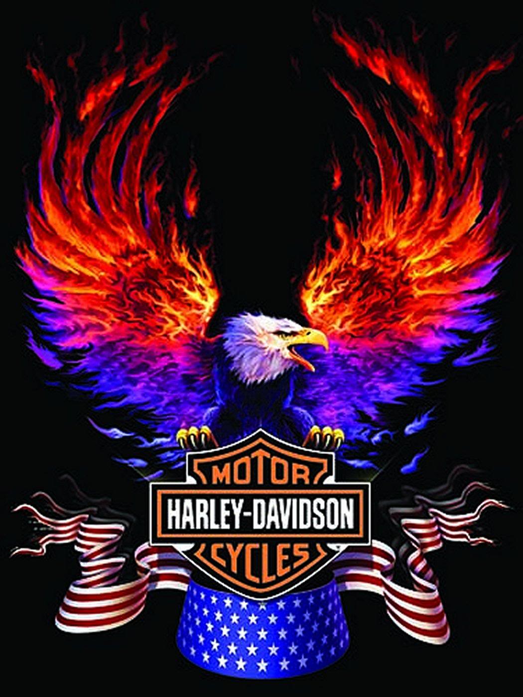 Aquila fiammeggiante logo Harley-Davidson, 1050x1400 Full HD Verticale, Smartphone