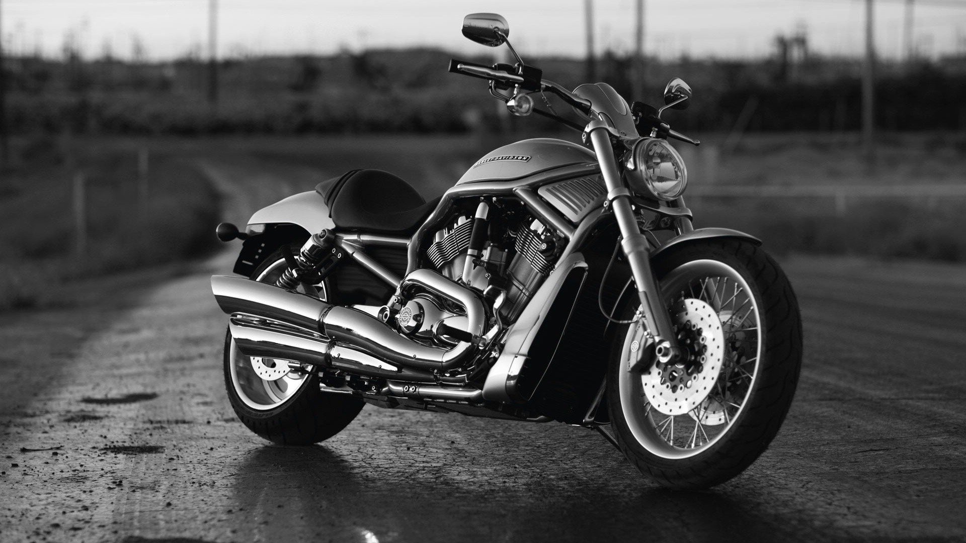 Moto Harley Davidson bianco e nero, 1920x1080 1080p, PC