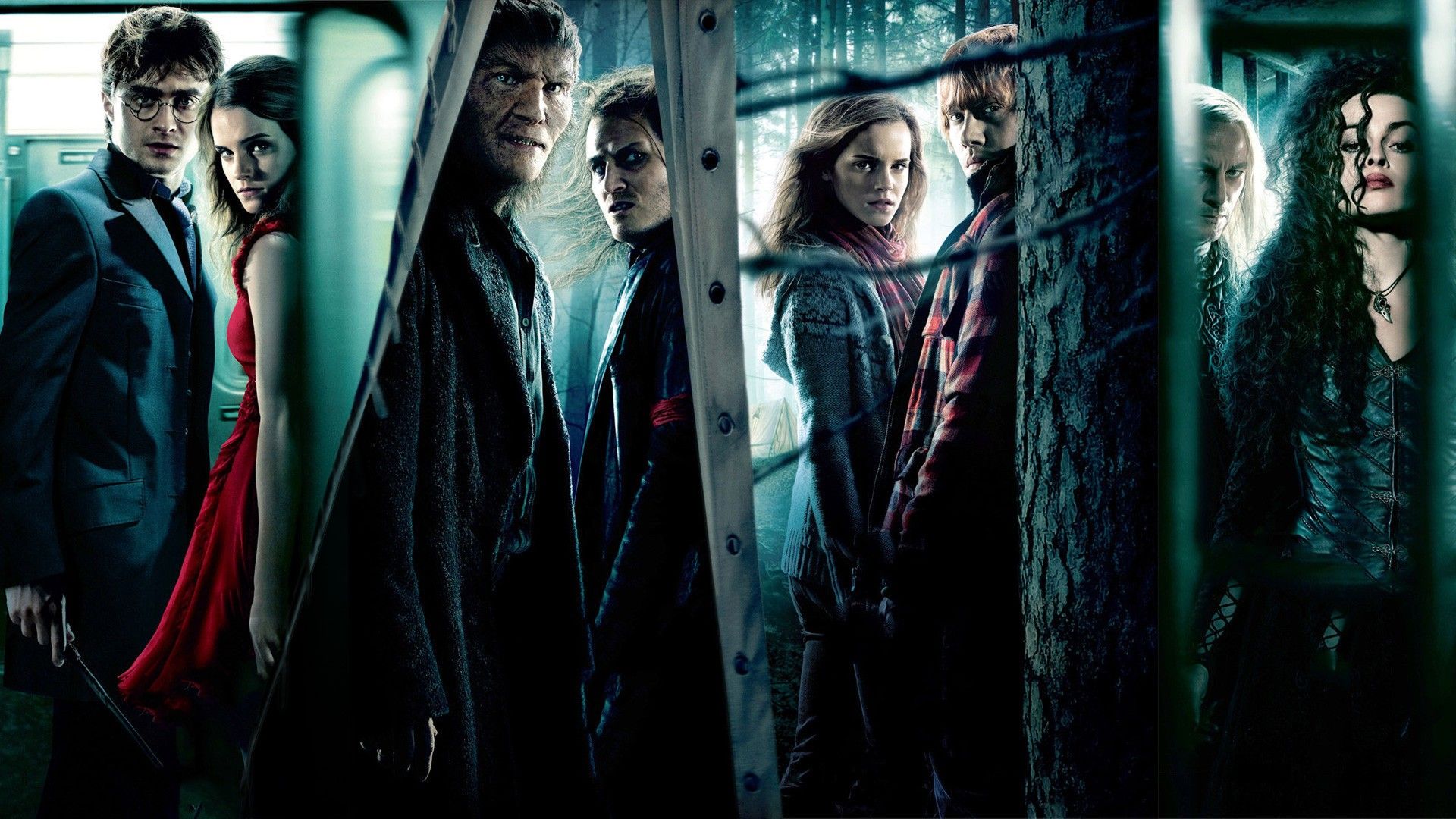 Harry Potter e Newt verticale, mondo magico, 1440x2560 Verticale, Mobile