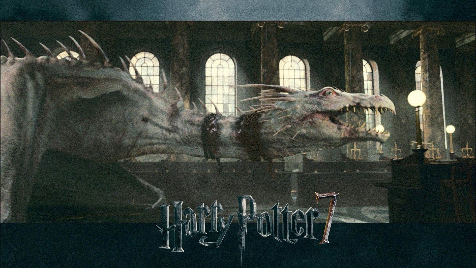 Harry Potter camera dei segreti, 1920x1080 Full HD, Desktop