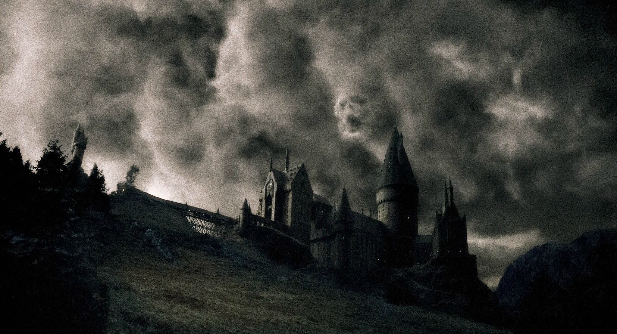 Harry Potter con bacchetta bosco, mondo magico, 2511x1548 2K, Desktop