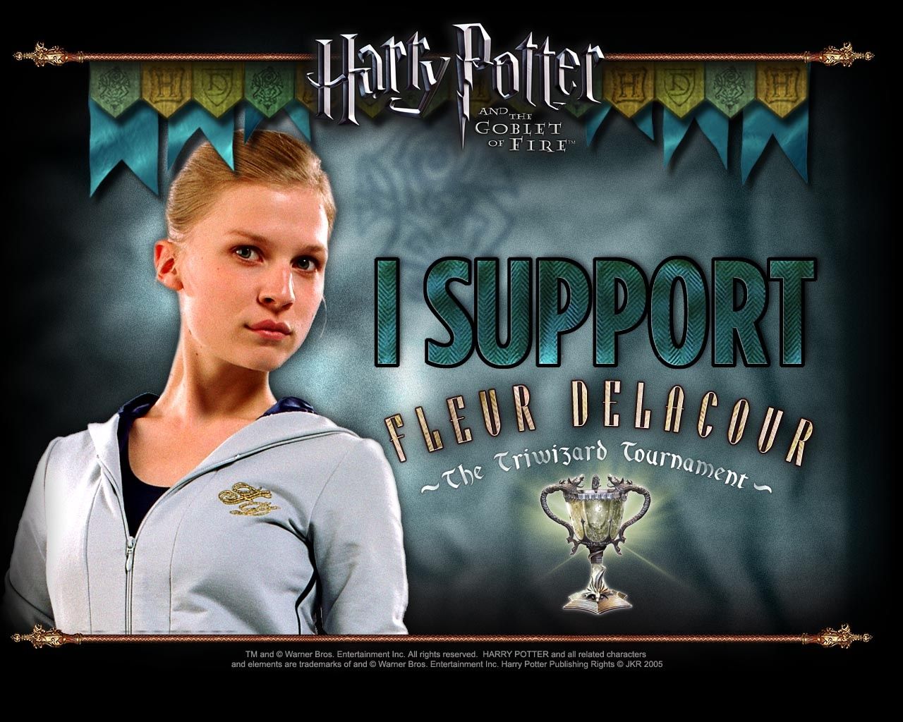 Harry Potter poster ricercato Sirius Black, 1024x768 HD, PC