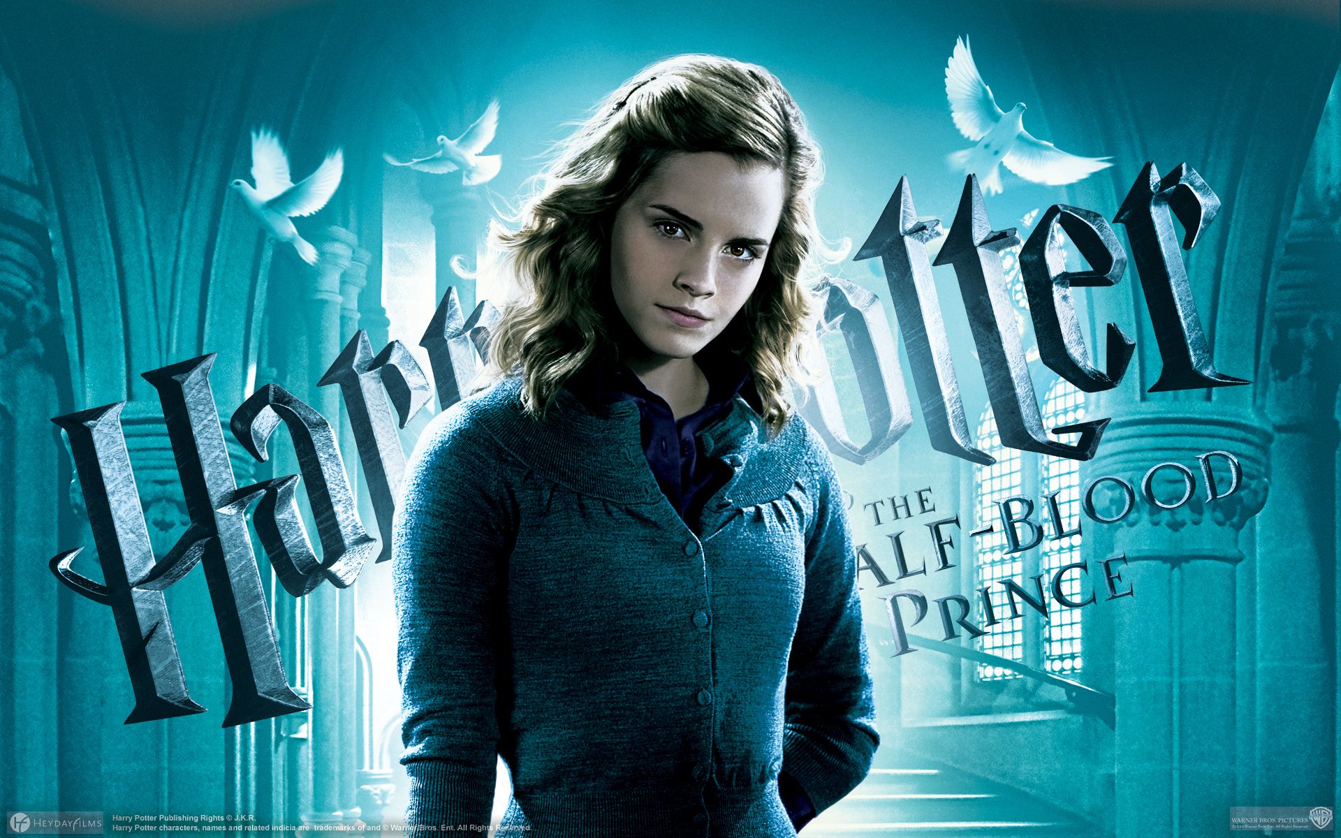 Hermione Granger Harry Potter, 1920x1200 WUXGA, PC
