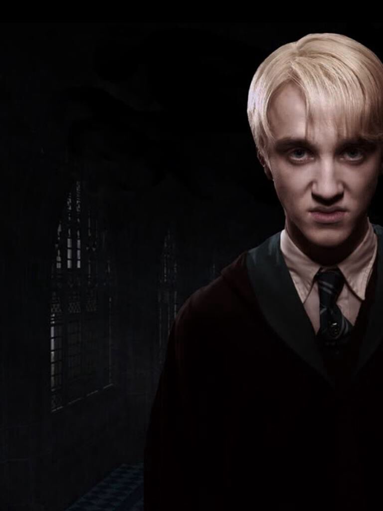 Draco Malfoy e Harry Potter, 1280x800 720p, PC