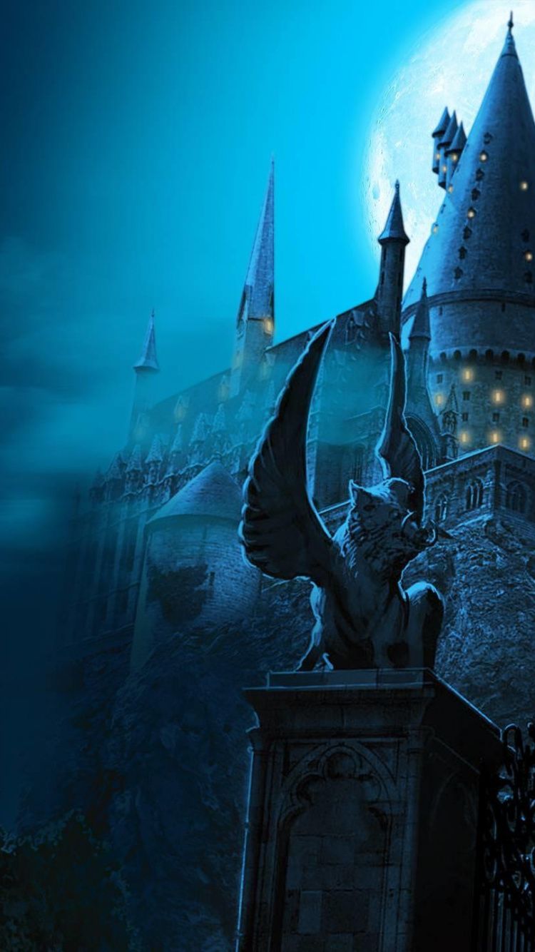 Castello di Hogwarts notturno, 1920x1080 Full HD 1080p, PC Desktop