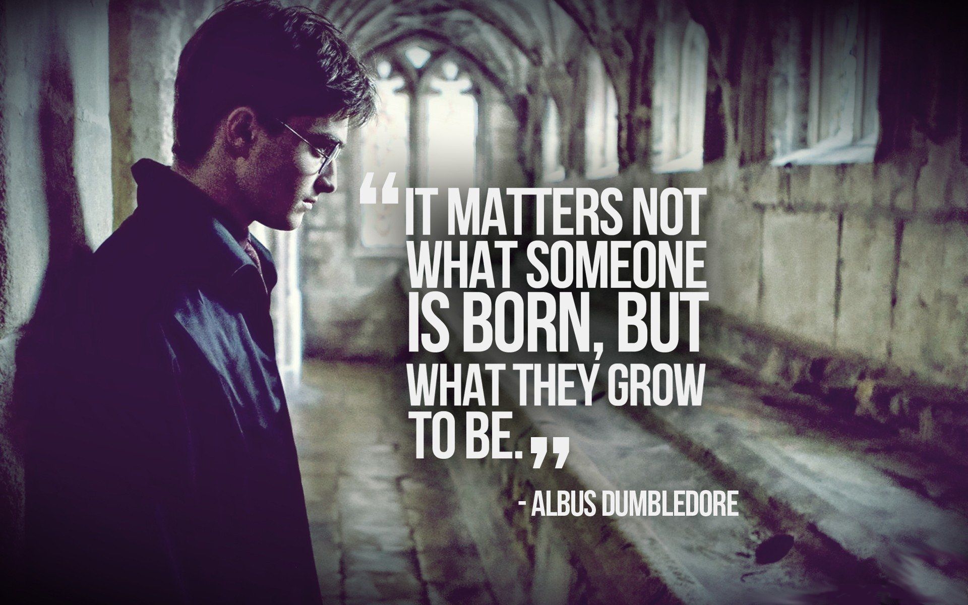 Gufo con lettera Harry Potter, 1024x768 HD, iMac