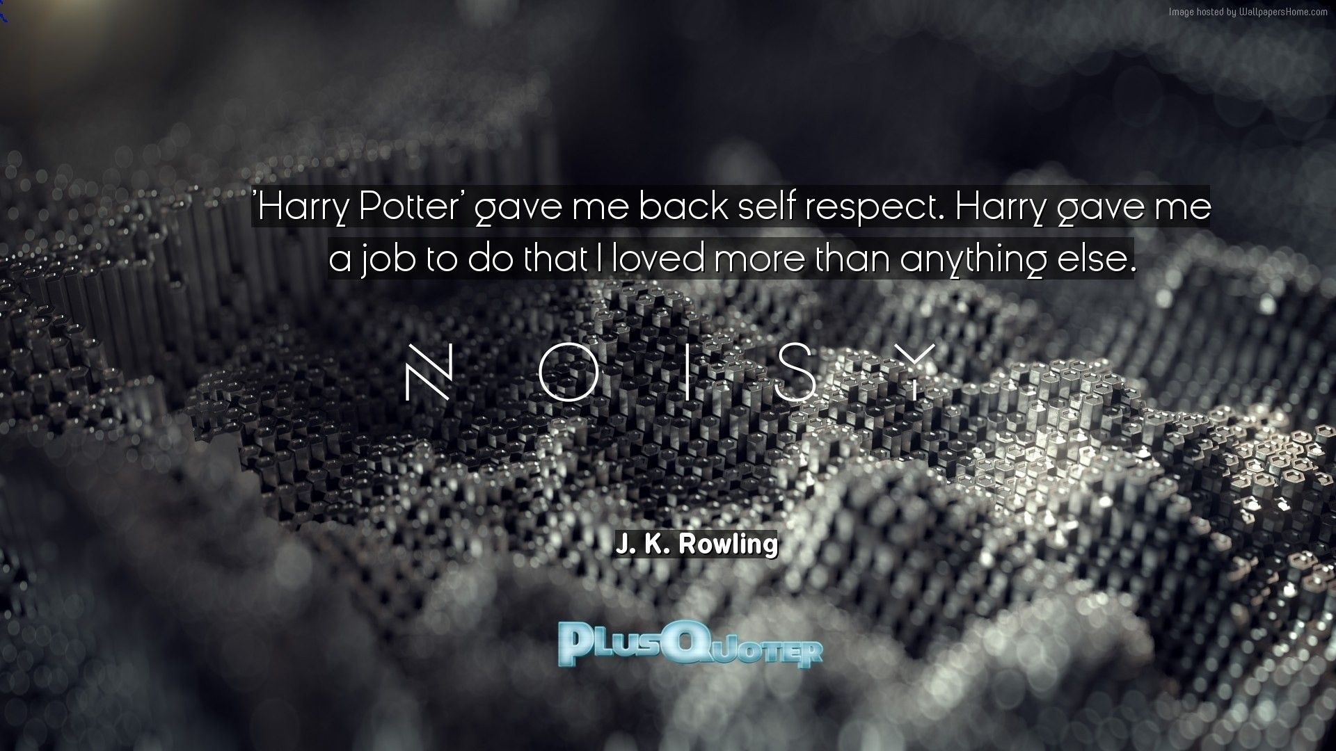 Harry Potter Ordine della Fenice, 1024x768 HD, Laptop