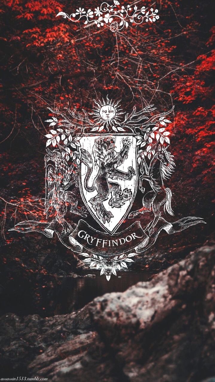 Stemma Grifondoro Harry Potter, Hogwarts, 719x1280 Verticale, Telefono