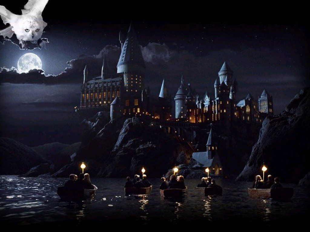 Stemma Hogwarts cielo notturno, 736x1228 Verticale, OnePlus
