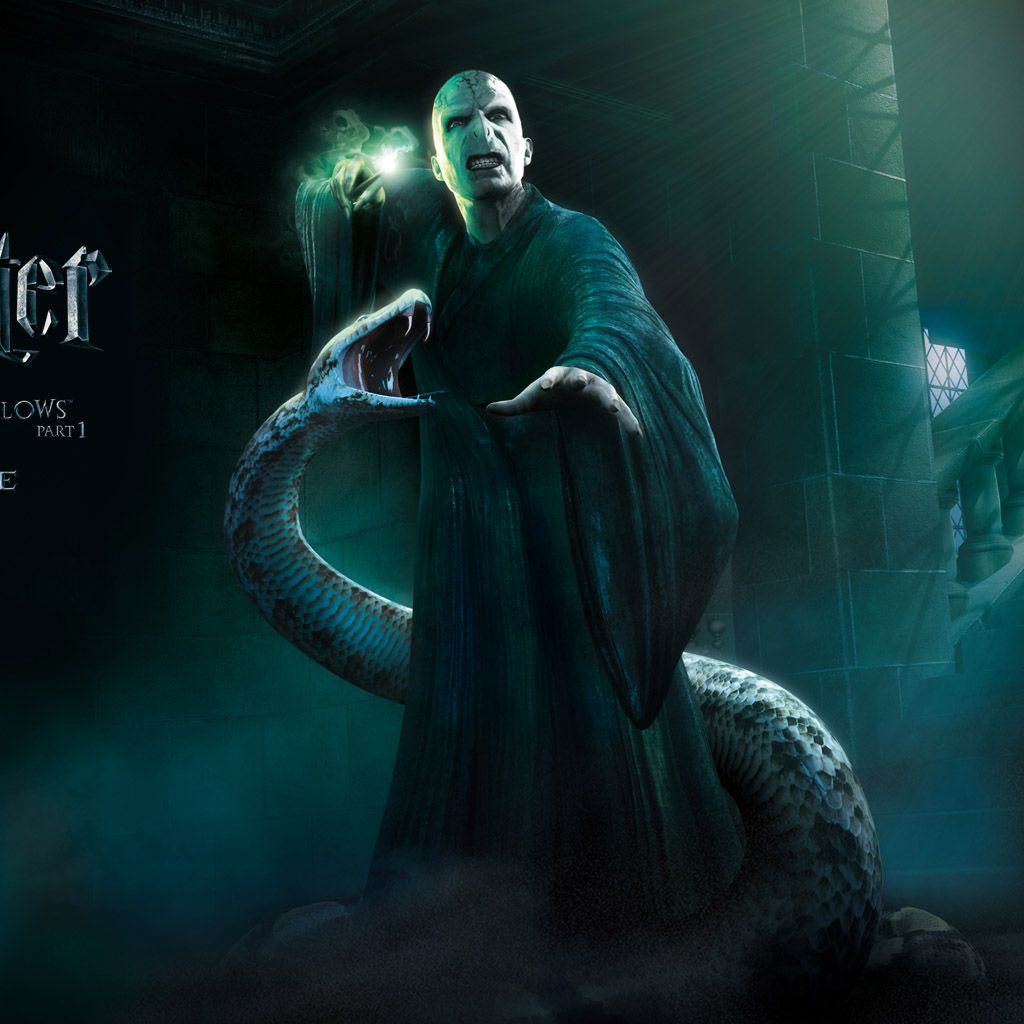 Voldemort con serpente, Harry Potter, Signore Oscuro, 1024x1024 HD, iPad Pro