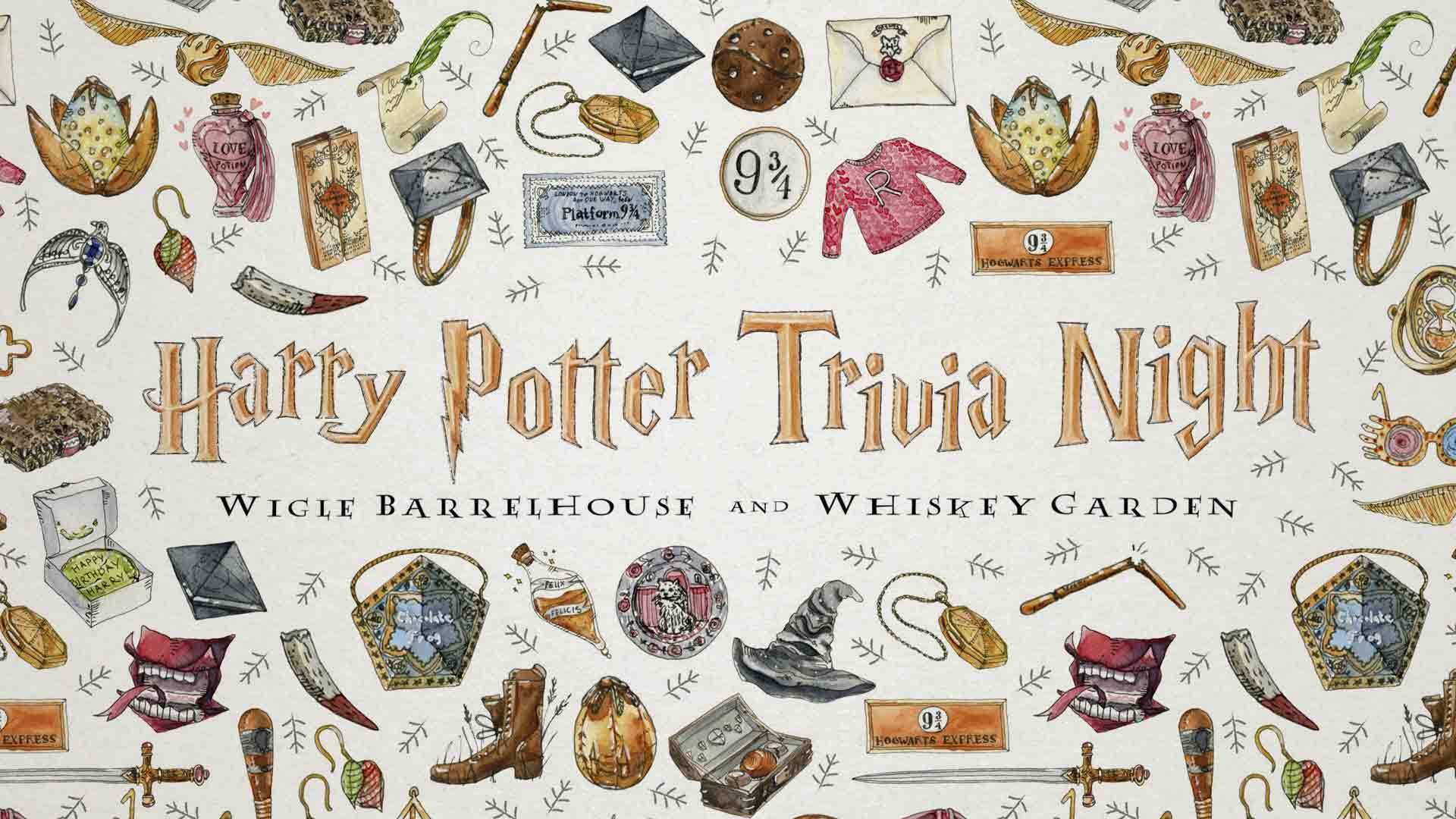 Icone Harry Potter illustrate, 1920x1080 Full HD, Desktop
