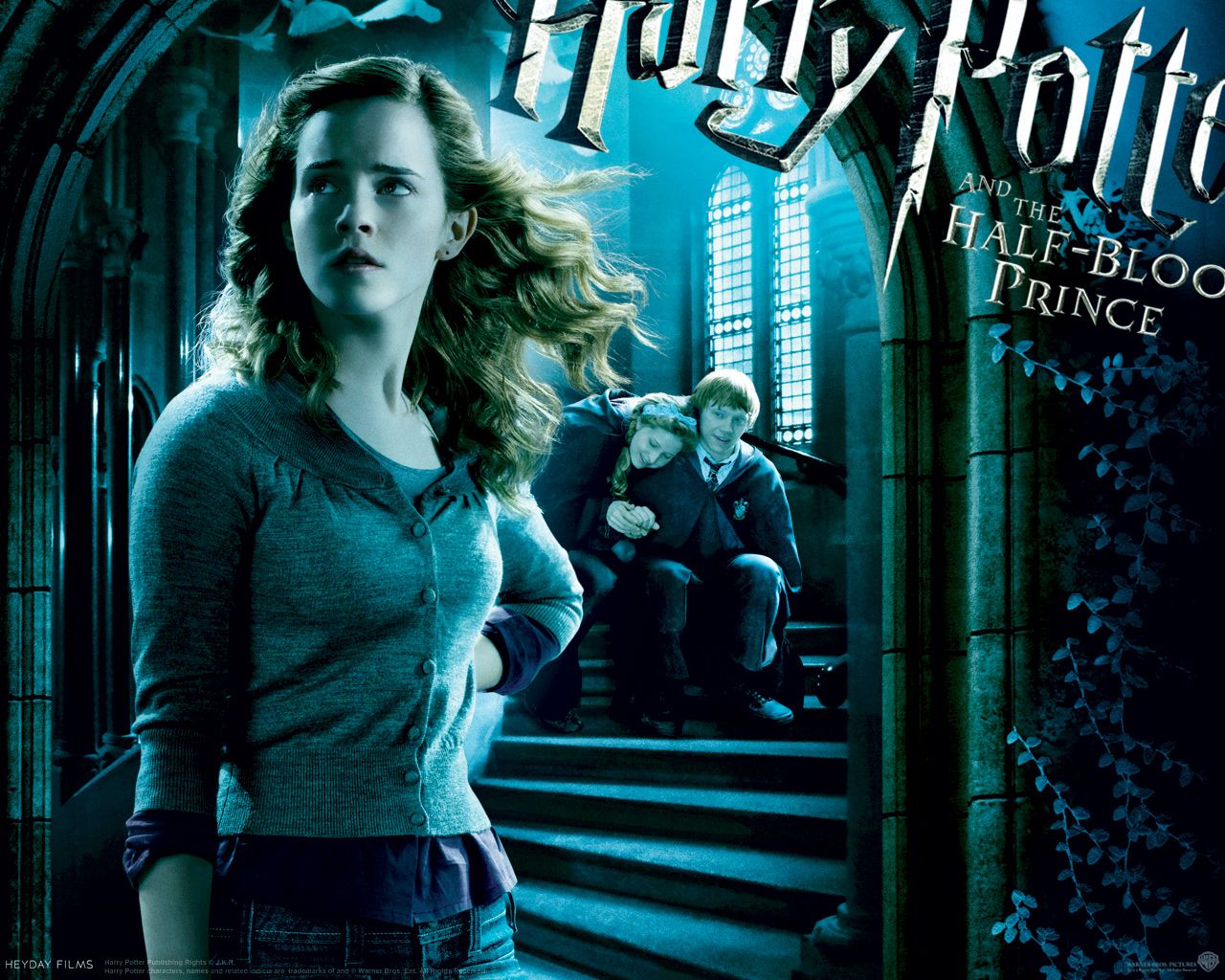 Harry Potter maghi bacchette, 1080x1920 Full HD Verticale, iPad