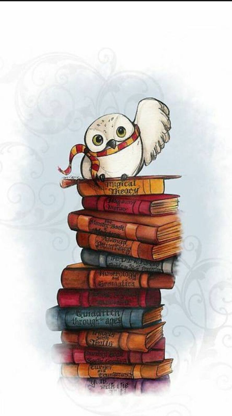 Gufo bianco su libri impilati, 755x1350 Full HD Verticale, iPhone