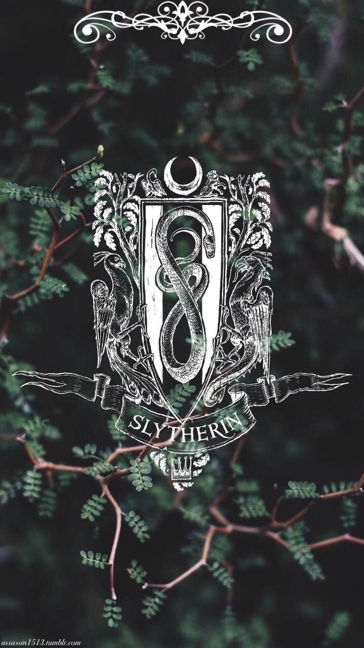 Stemma Serpeverde Harry Potter, 1500x1000 HD, Desktop