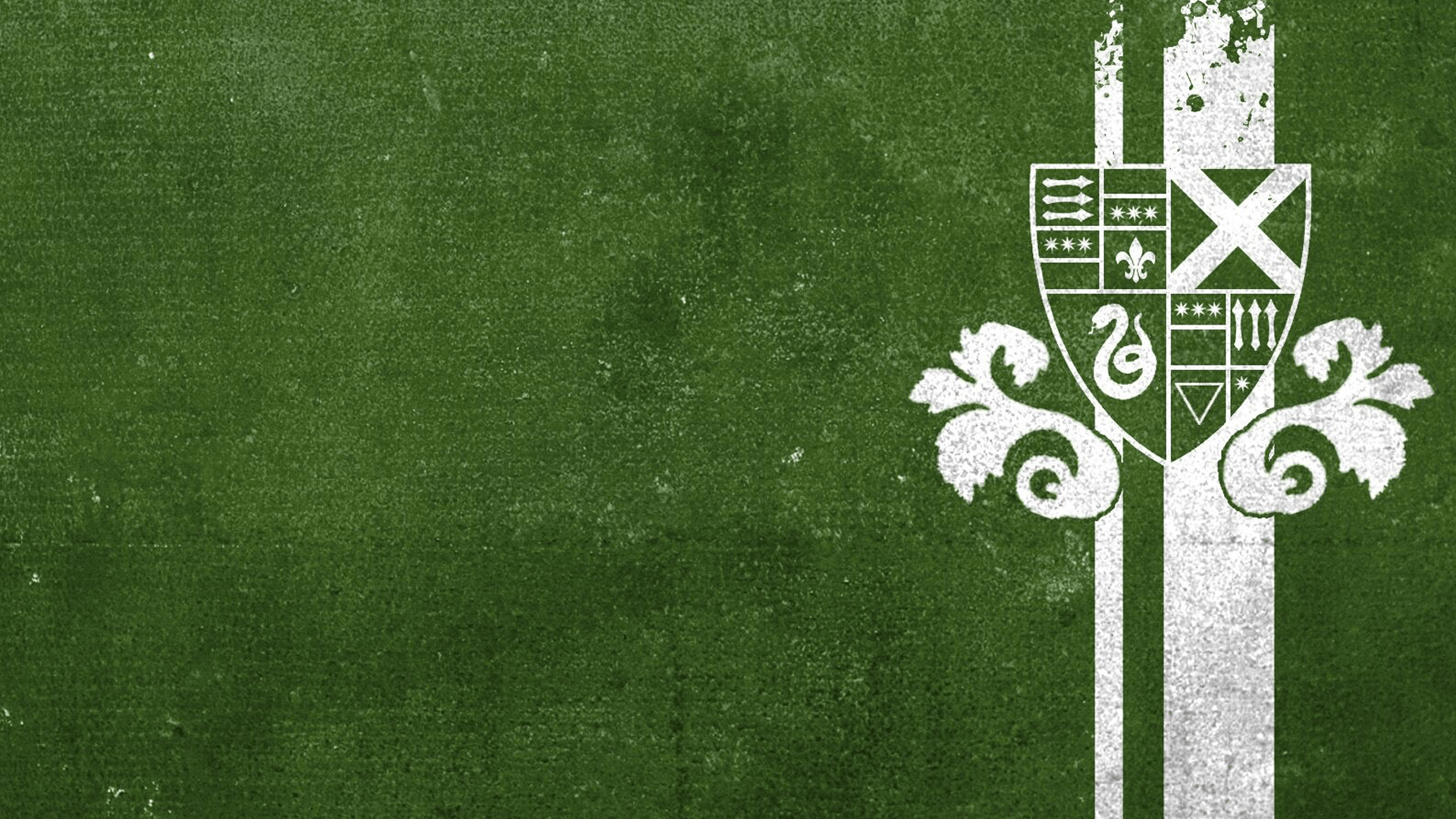 Stemma Slytherin serpente verde, 1920x1080 1080p, PC