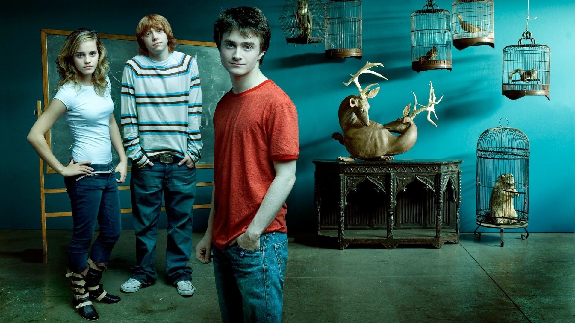 Cervo Harry Potter reliquie morte, 2120x3248 Verticale, Mobile
