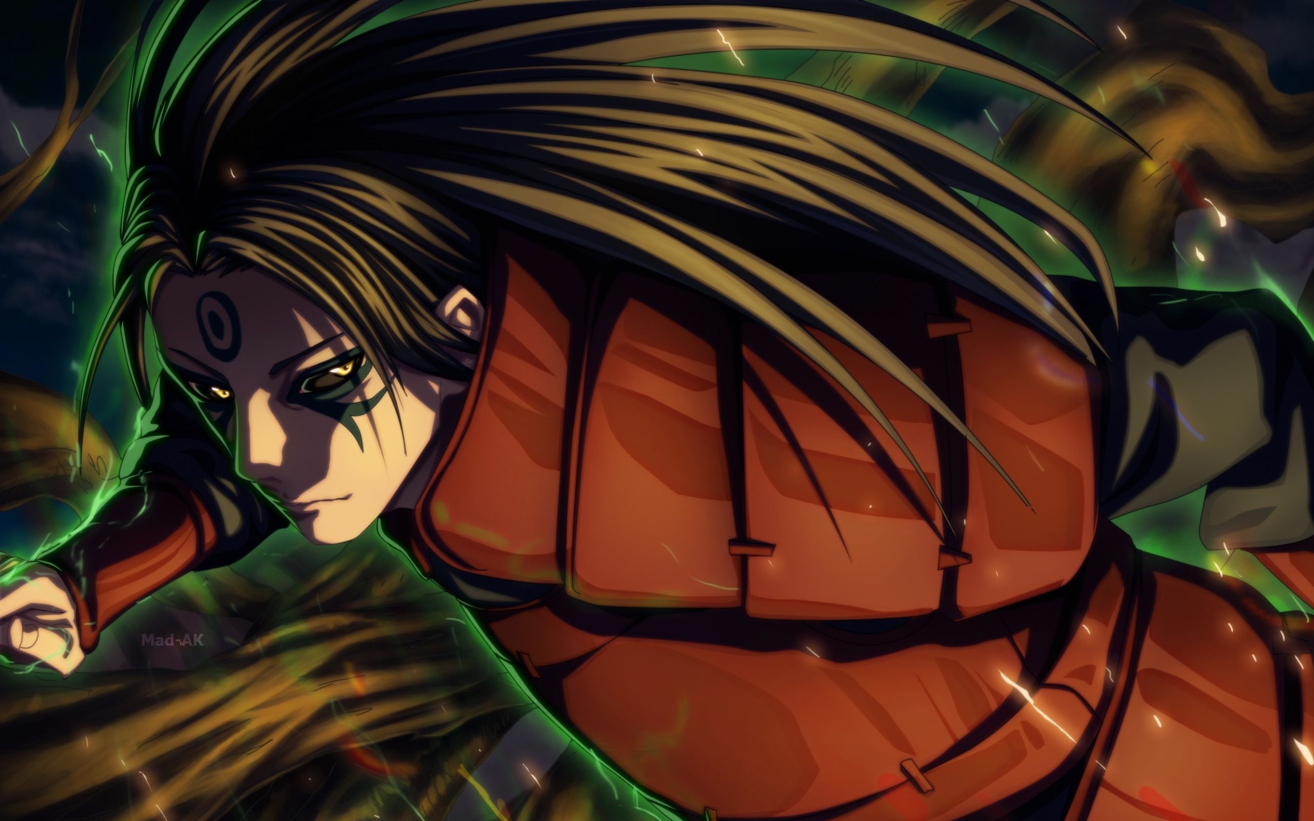 Hashirama Senju Naruto, 2560x1600 2K, Laptop