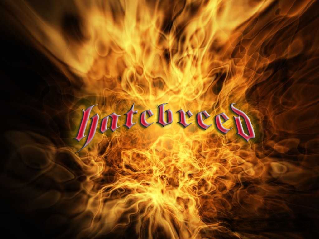 Hatebreed Perseverance copertina album, 1000x1000 HD, Desktop