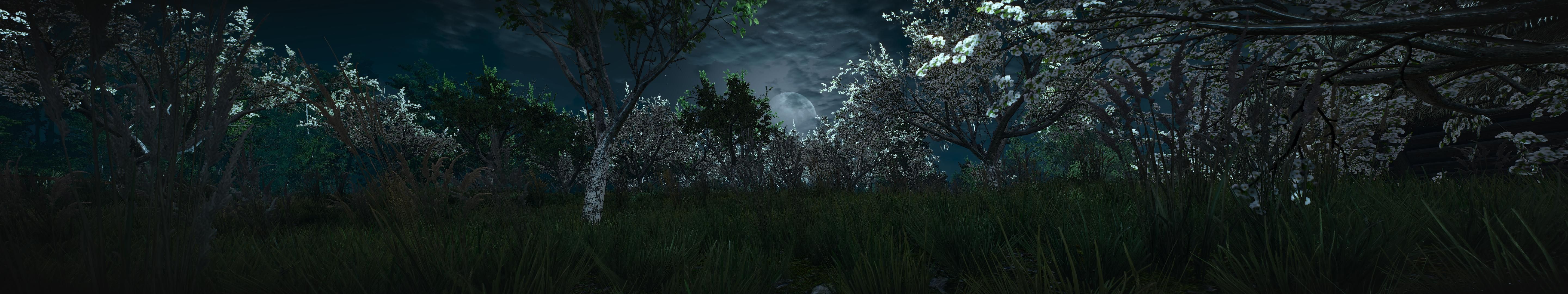 Foresta notturna The Witcher 3, RPG, 5760x1080 Panoramico, Dual Screen