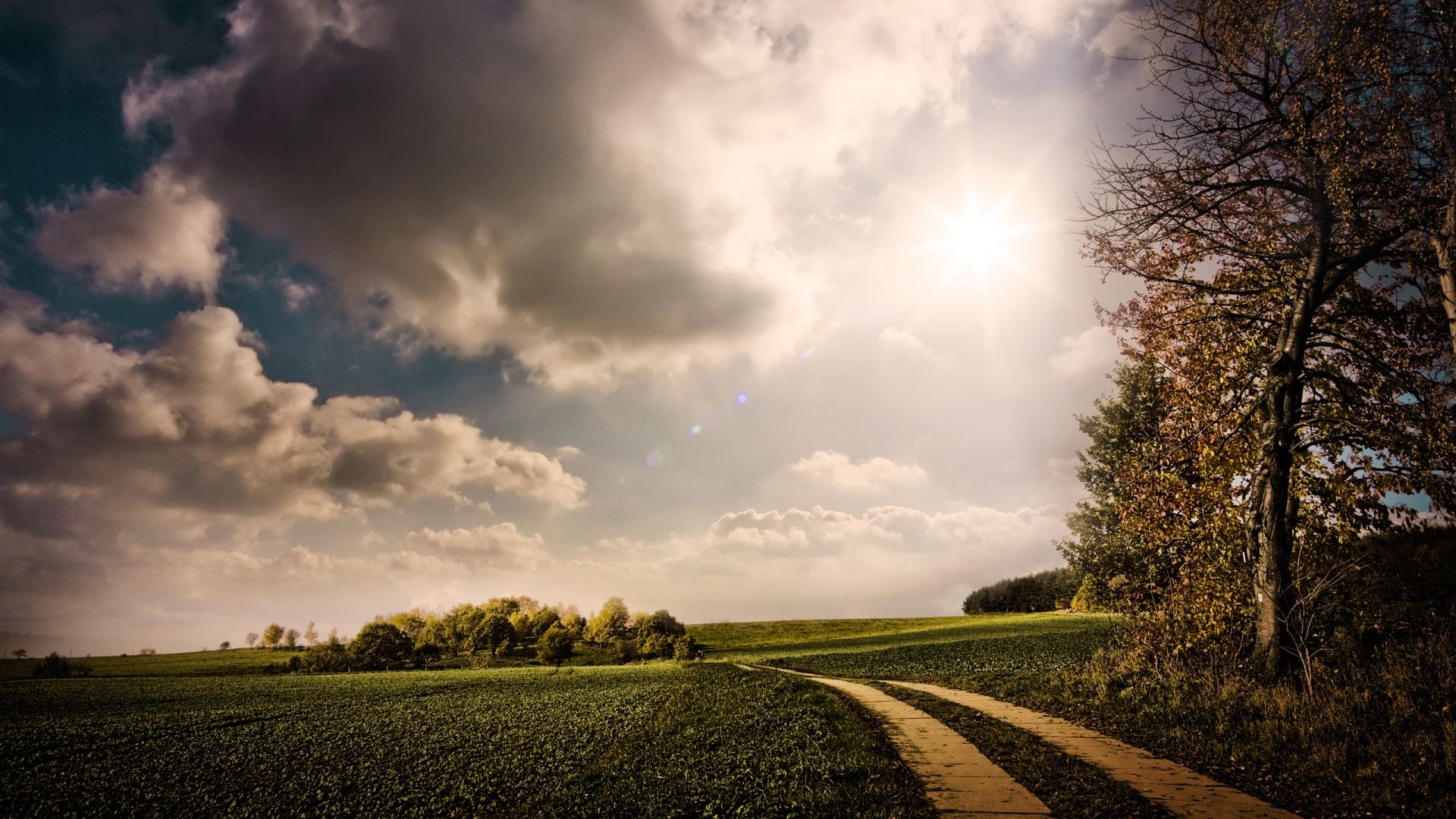 Sentiero rurale con cielo nuvoloso, 1920x1080 Full HD, Desktop
