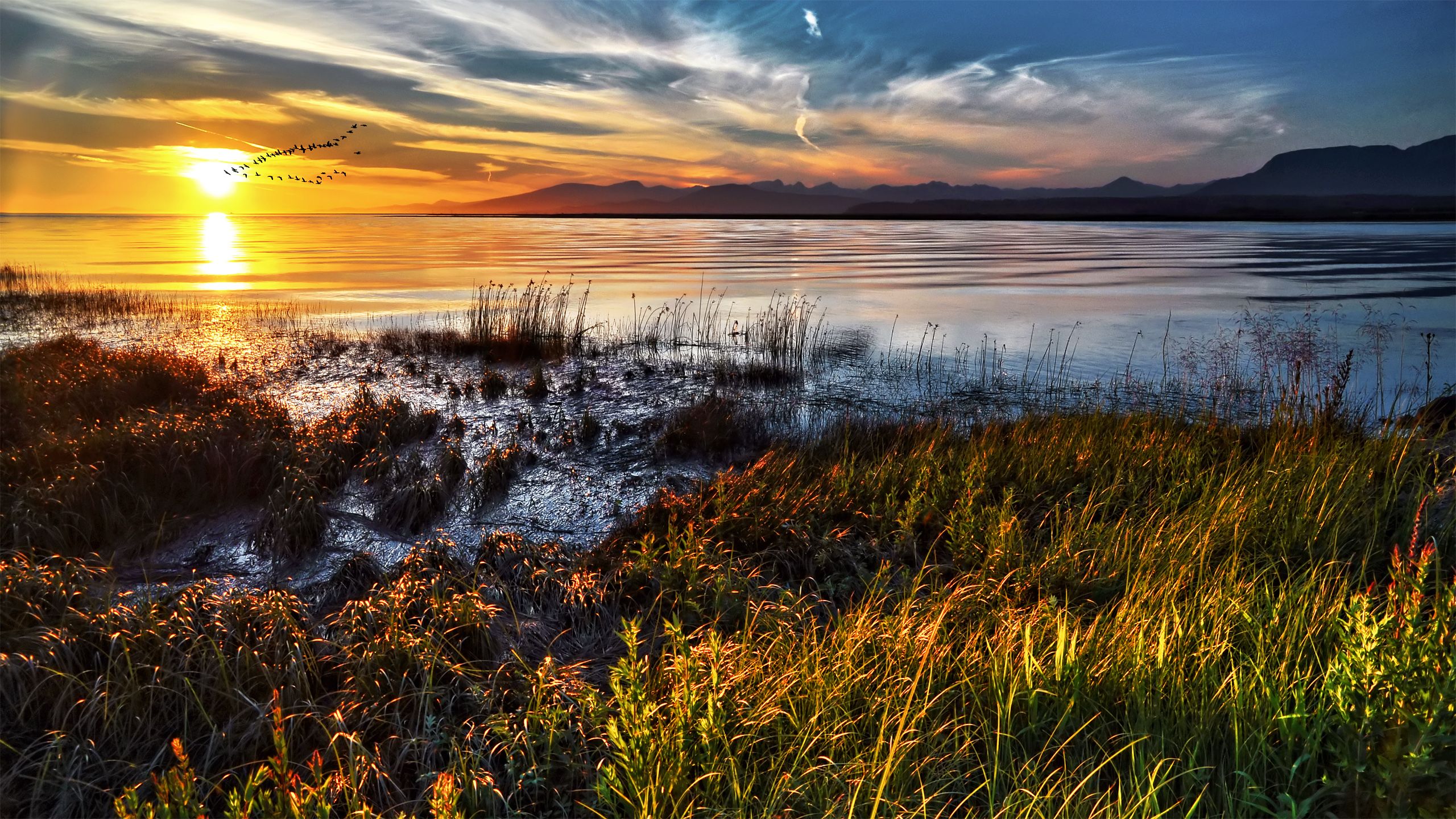 Tramonto sul lago con canneti, 2560x1440 2K QHD, PC