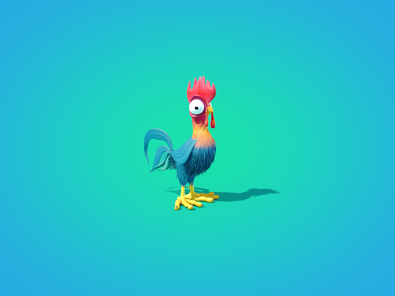 Hei Hei il gallo, Oceania, 1600x1200 900p, HP Laptop