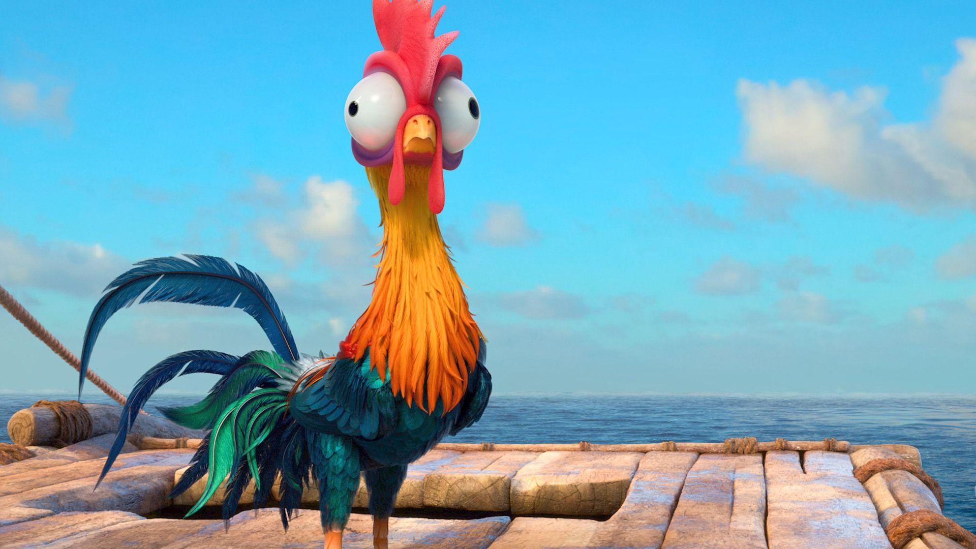 Hei Hei gallo Oceania, Moana, 1920x1080 Full HD 1080p, PC