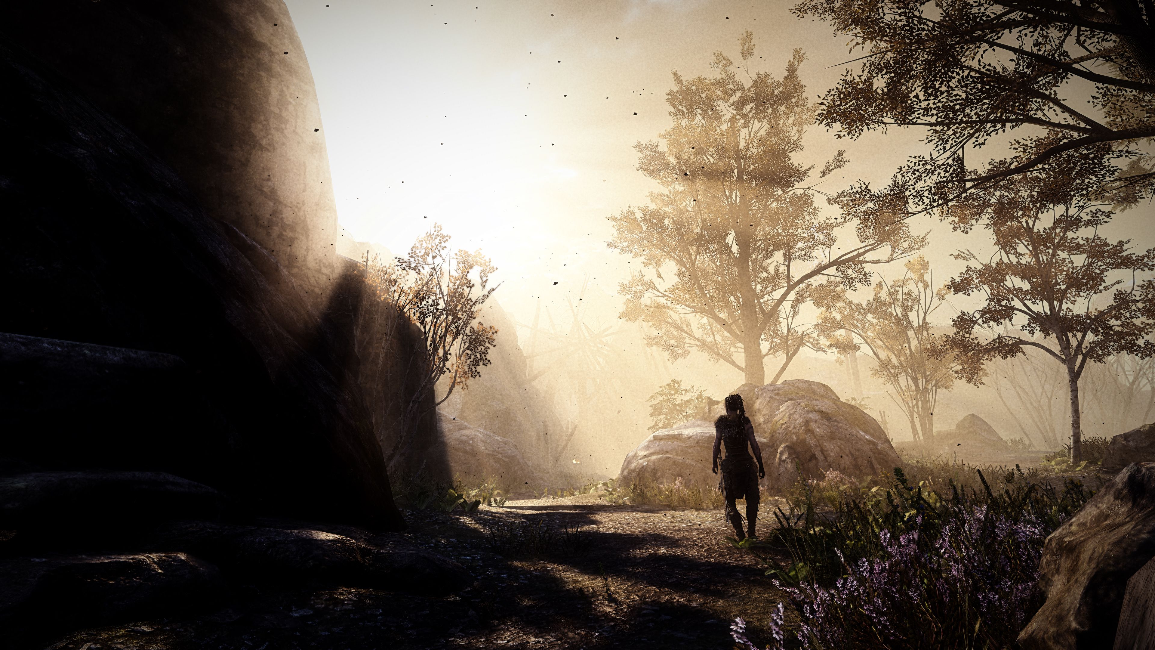 Senua Hellblade foresta luce, 3840x2160 4K Ultra HD, Monitor 4K