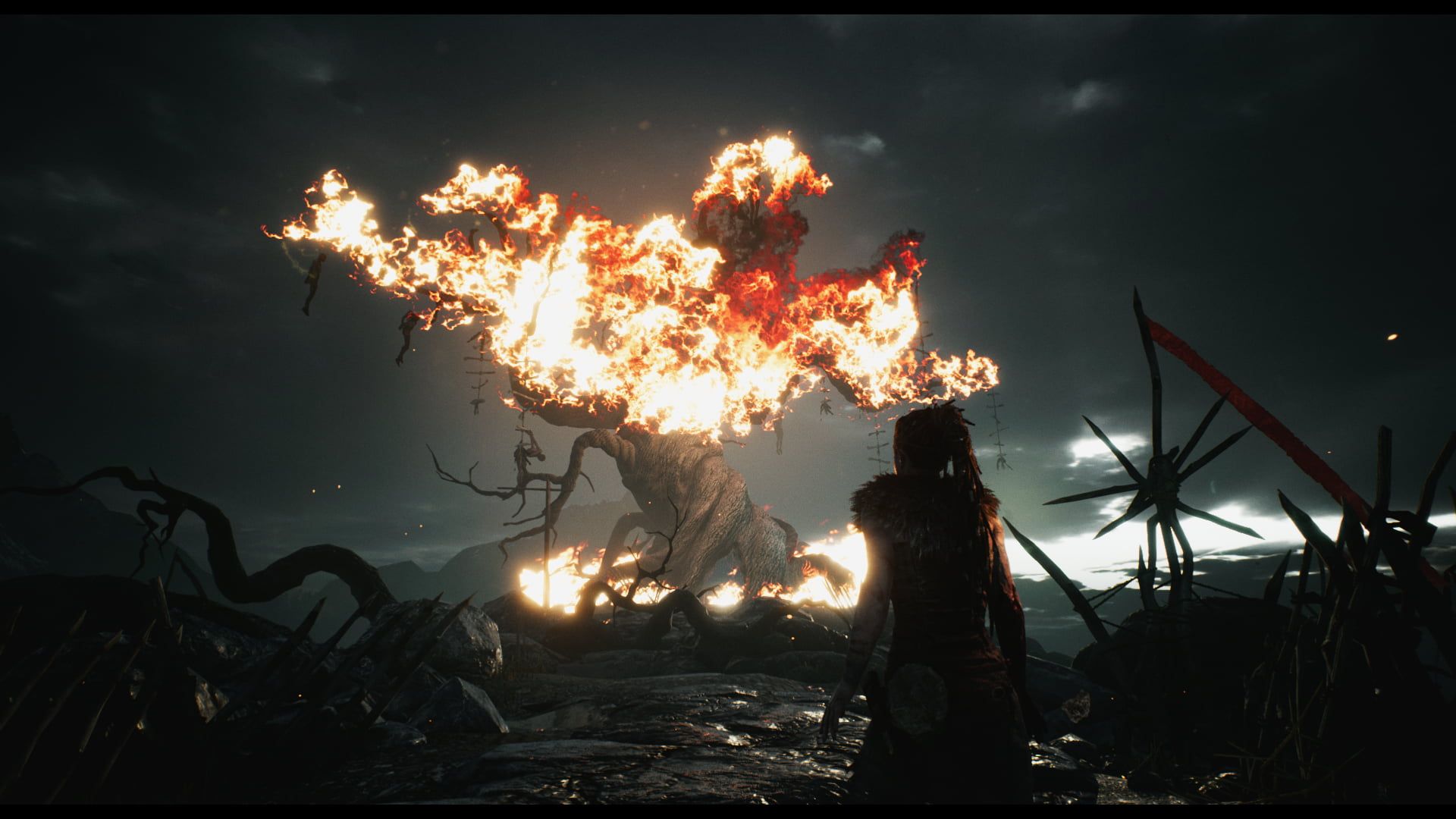 Senua davanti albero in fiamme, Hellblade, 1920x1080 1080p, PC