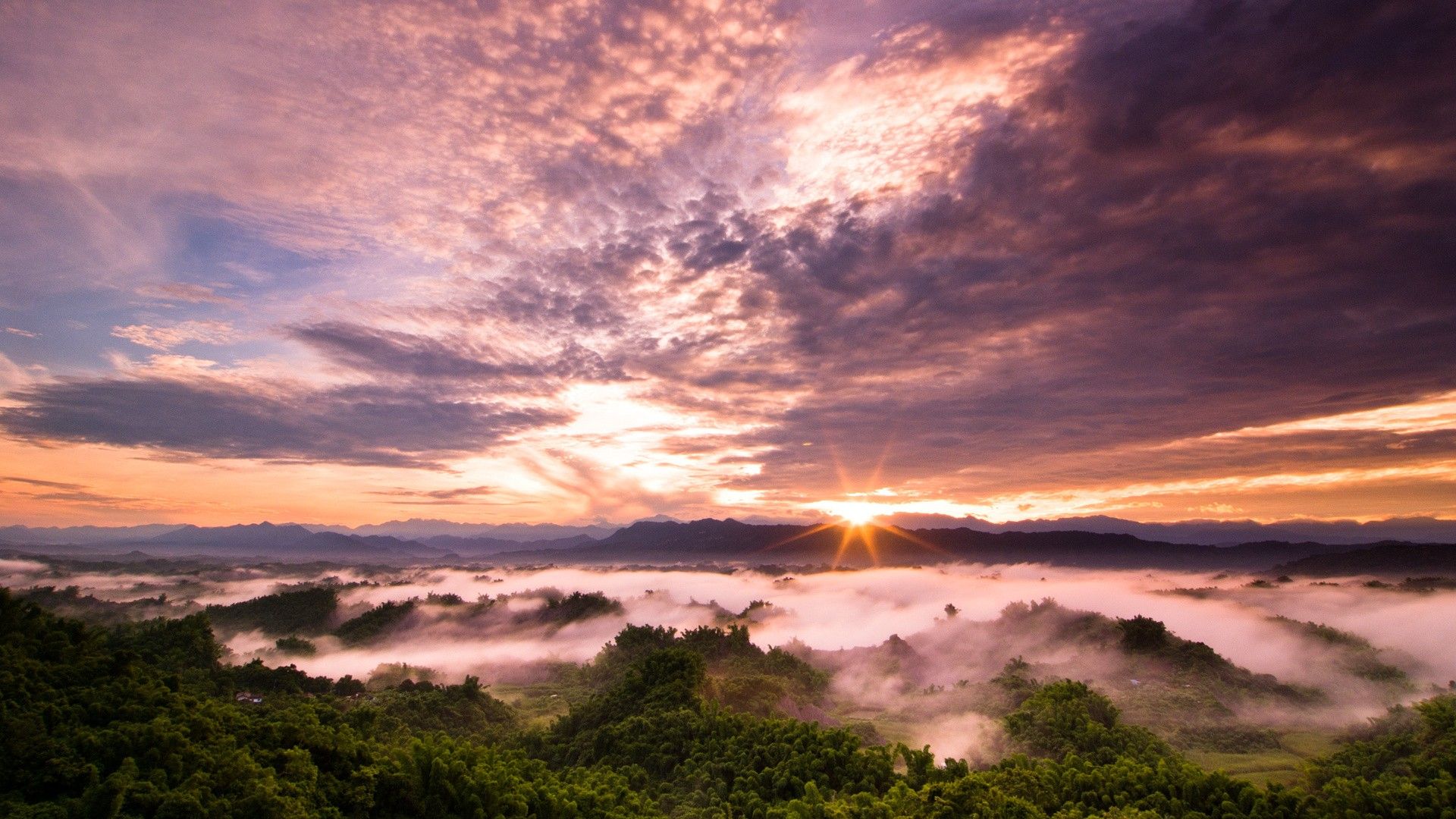Alba montagne nebbia foresta, 1920x1080 Full HD 1080p, Desktop