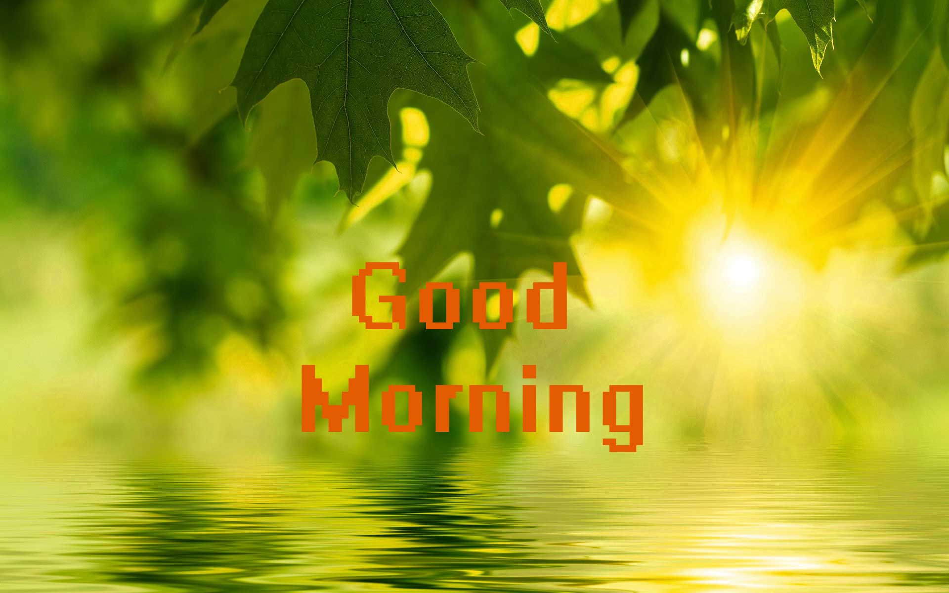 Good Morning foglie verdi sole, 1920x1200 Full HD+ WUXGA, iMac