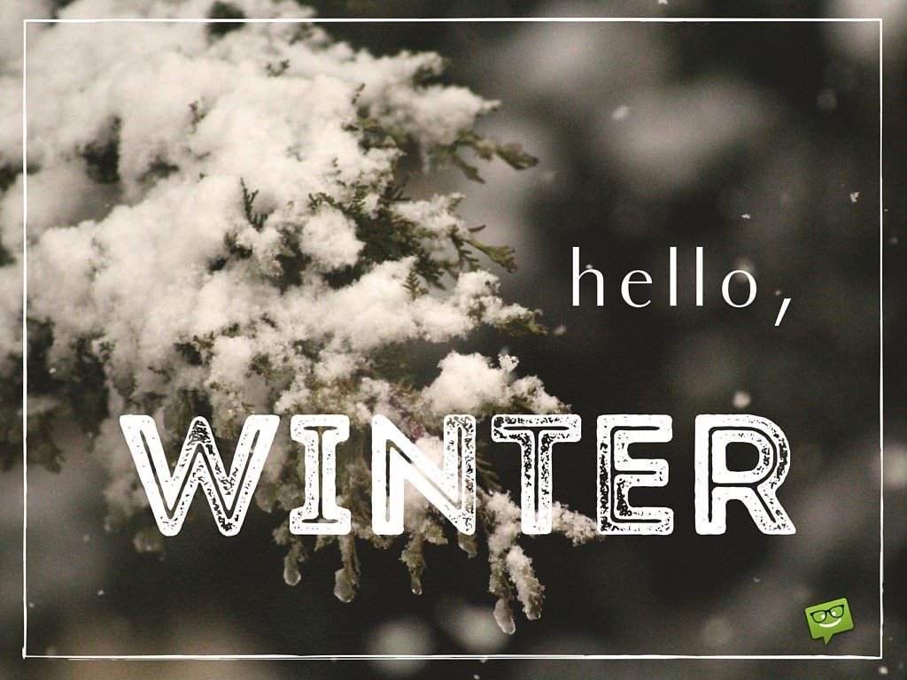Ramo innevato con scritta Hello Winter, 1024x768 HD, Desktop