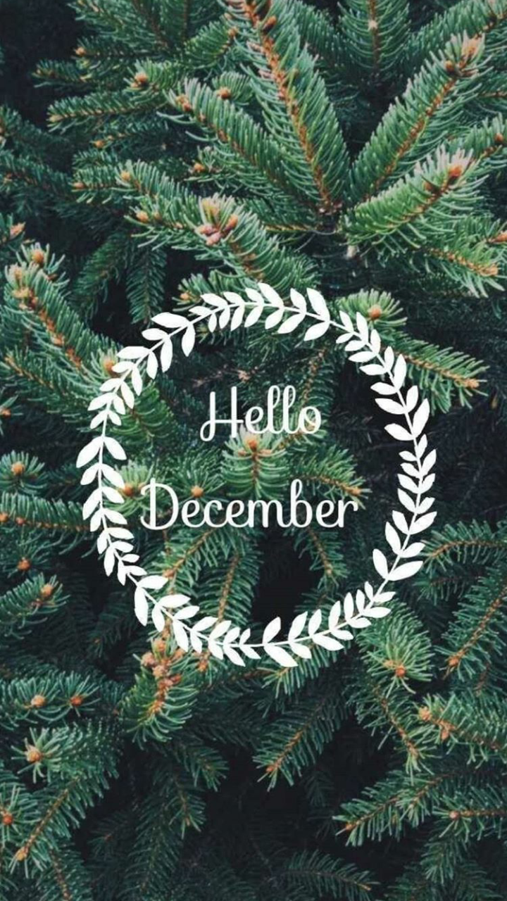 Corona pino Hello December, 720x1280 Verticale, Telefono