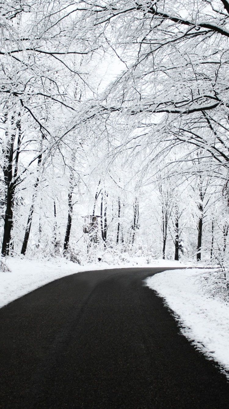 Pupazzi di neve con ombrello, 1280x926 HD, Desktop