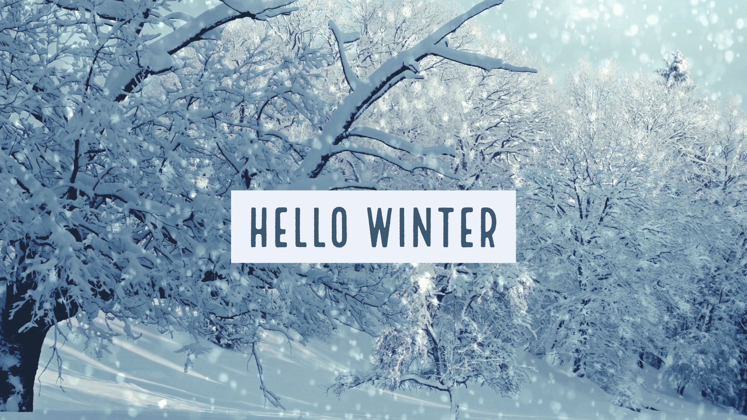 Scritta Hello Winter fiocchi neve, 750x1334 Full HD Verticale, iPhone