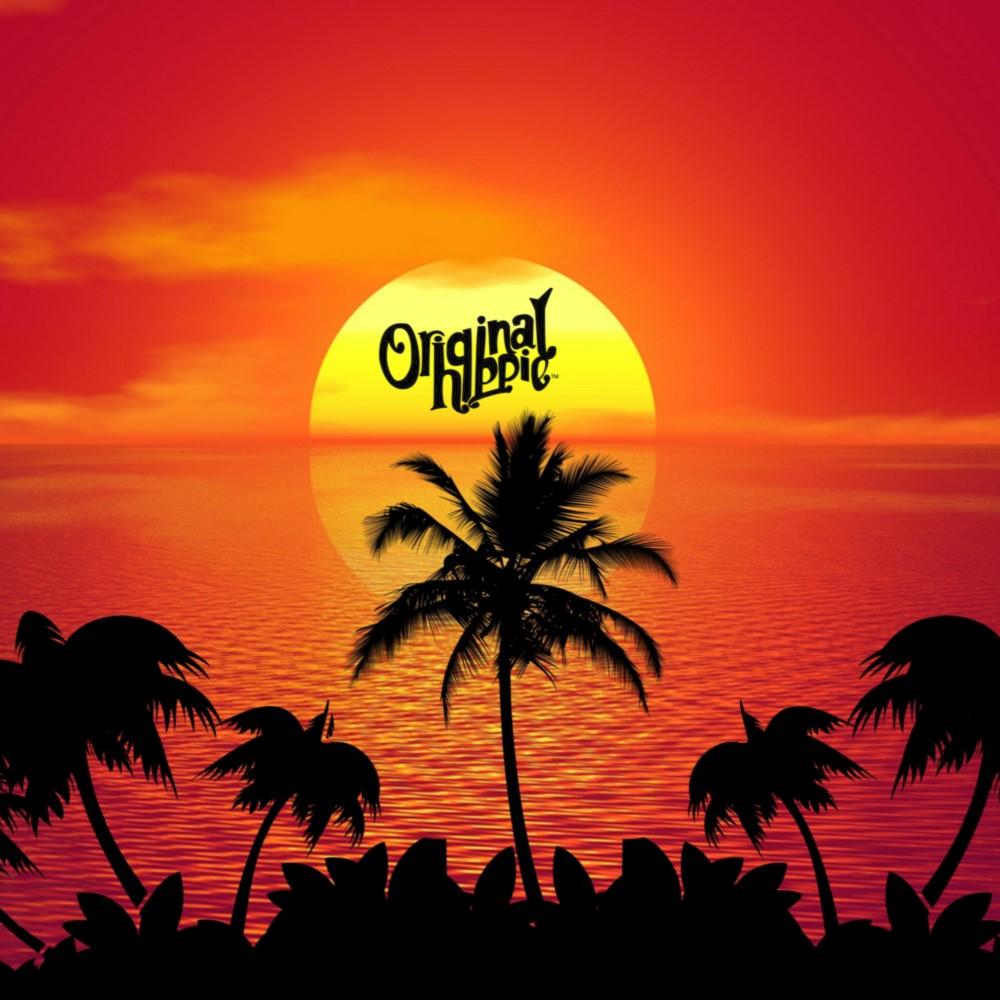 Tramonto arancione con palme, 1000x1000 HD, Desktop