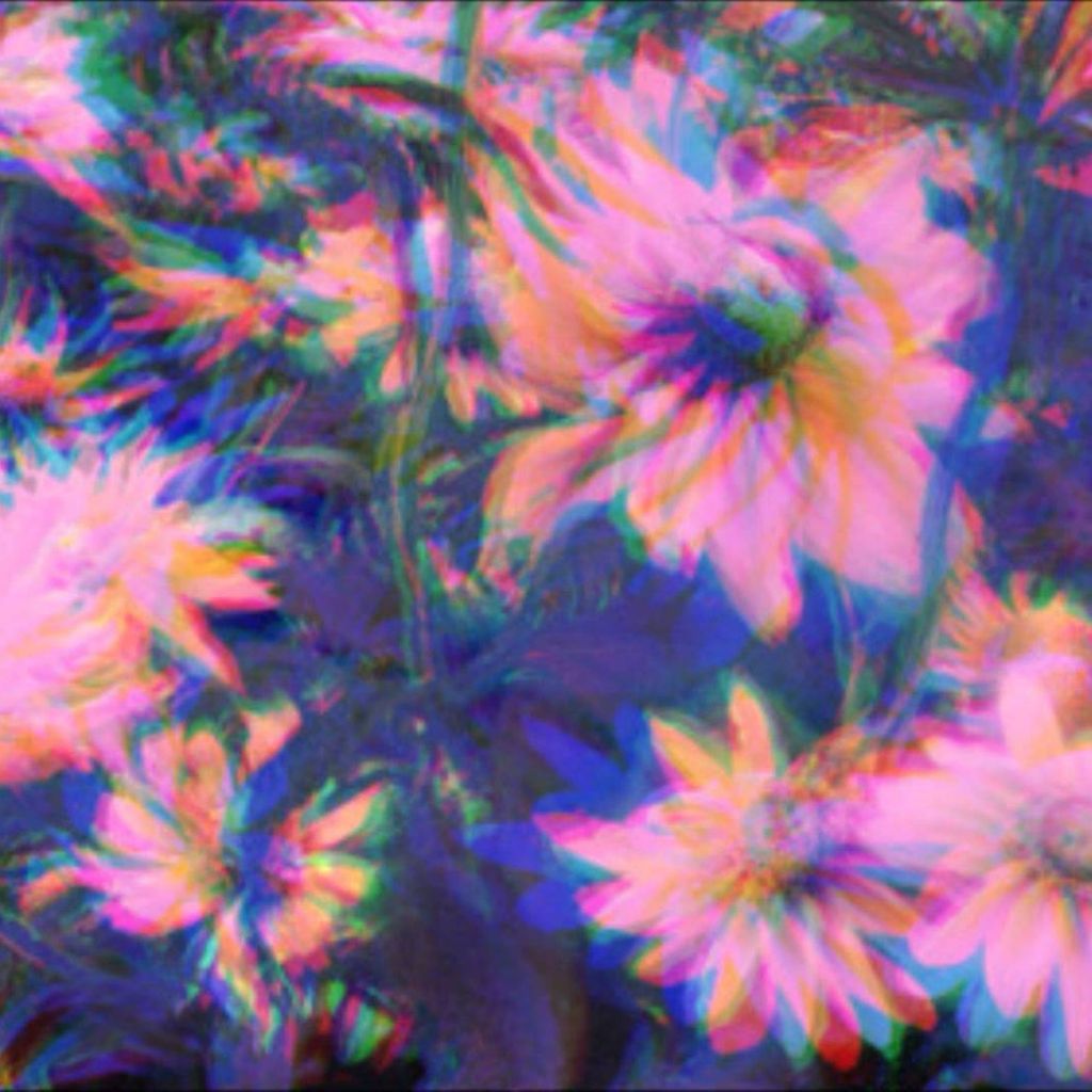 Fiori psichedelici colorati trippy, 1024x1024 HD, Laptop